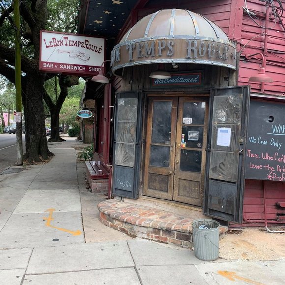 Meet your Posher, Rosie - Picture 1 of 1